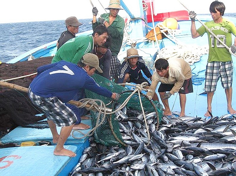 Việt Nam cũng đã cải thiện đáng kể trong công tác theo dõi, kiểm soát, giám sát tàu cá  để cò cơ sở gỡ thẻ vàng.