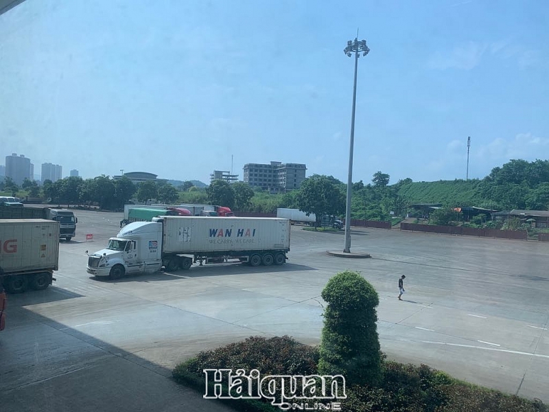 Lượng xe container thanh long XK tại bãi hàng trong khu vực cửa khẩu đường bộ Kim Thành lúc 10 giờ sáng ngày 19/8. Ảnh: Anh Tú