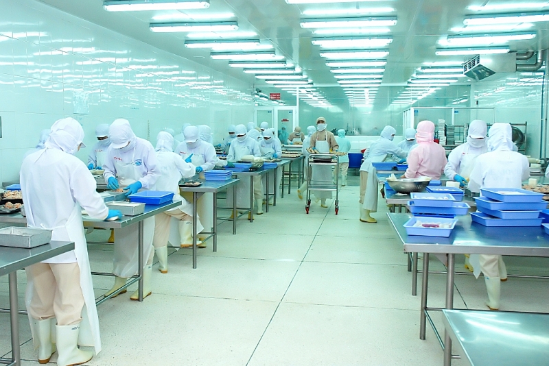 Vì sao xuất khẩu cá tra sang EU vẫn ảm đạm. Chế biến cá tra XK tại Công ty Hùng Hậu (Ảnh DN cung cấp)