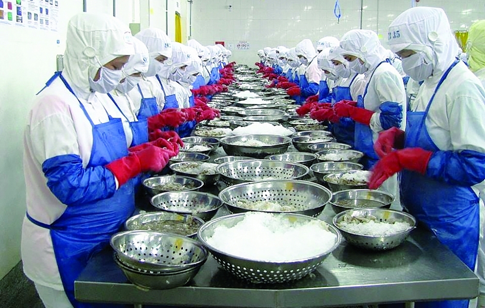 EVFTA thúc đẩy xuất khẩu Thủy sản là một trong những ngành hàng điển hình tận dụng tốt cơ hội thúc đẩy XK từ Hiệp định EVFTA. Ảnh: N.Thanh