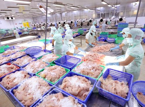 Chế biến thủy sản xuất khẩu