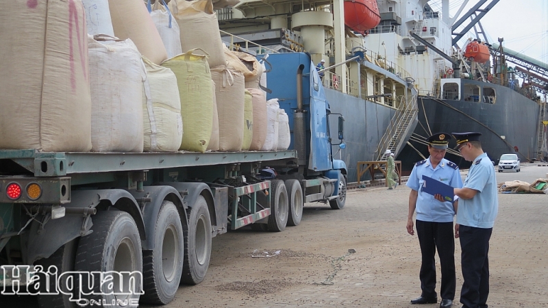 CBCC Chi cục Hải quan cảng Cái Lân (Cục Hải quan Quảng Ninh) kiểm tra hàng hóa xuất nhập khẩu