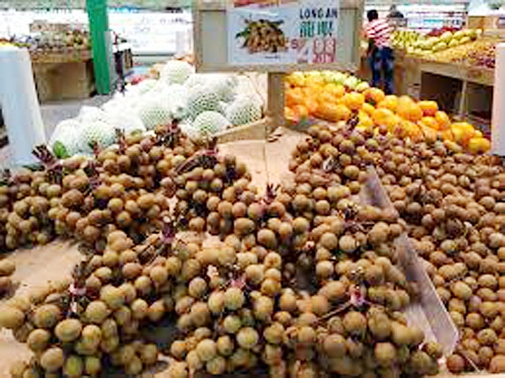 Trái cây sang Mỹ đang vướn khâu kiểm dịch cần co1 giải pháp phù hợp 