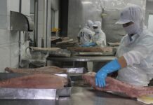 Xuất khẩu cá ngừ thêm khó vì giá cước vận chuyển tăng