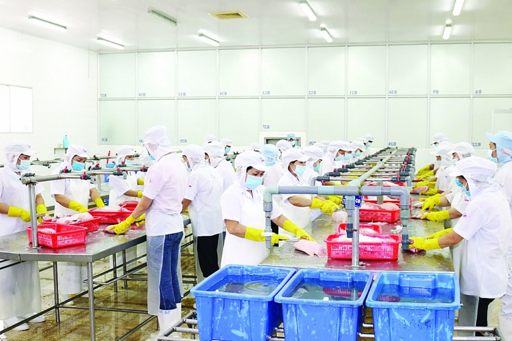 Nhộn nhịp đơn hàng xuất khẩu đầu xuân, doanh nghiệp chế biến cá diêu hồng xuất khẩu tại Công ty APT.