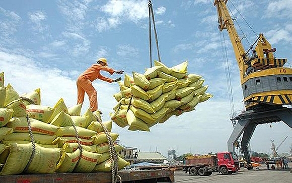 Gỡ vướng cho doanh nghiệp xuất khẩu gạo, doanh nghiệp đang bốc dỡ gạo xuất khẩu