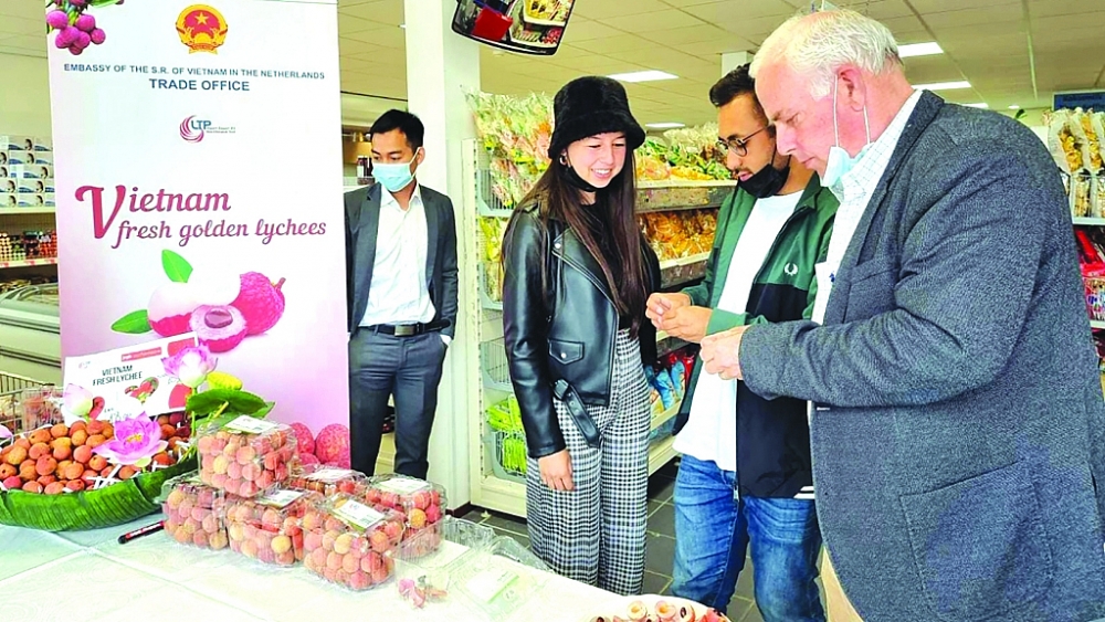 Nông sản đua nhau chinh phục thị trường “khó tính”. Quảng bá quả vải tươi của Việt Nam tới người dân Hà Lan năm 2021.
