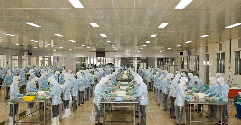 Xuất khẩu thủy sản giảm thiệt hại nhờ EVFTA. Chế biến thủy sản tại nhá máy của ABT. Ảnh: DN cung cấp