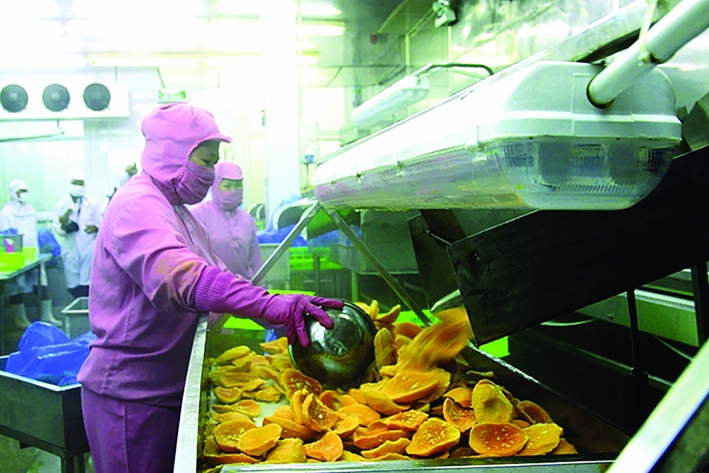 Xuất khẩu rau quả Việt Nam đang có sự chuyển dịch mạnh mẽ. Ảnh: N. Thanh