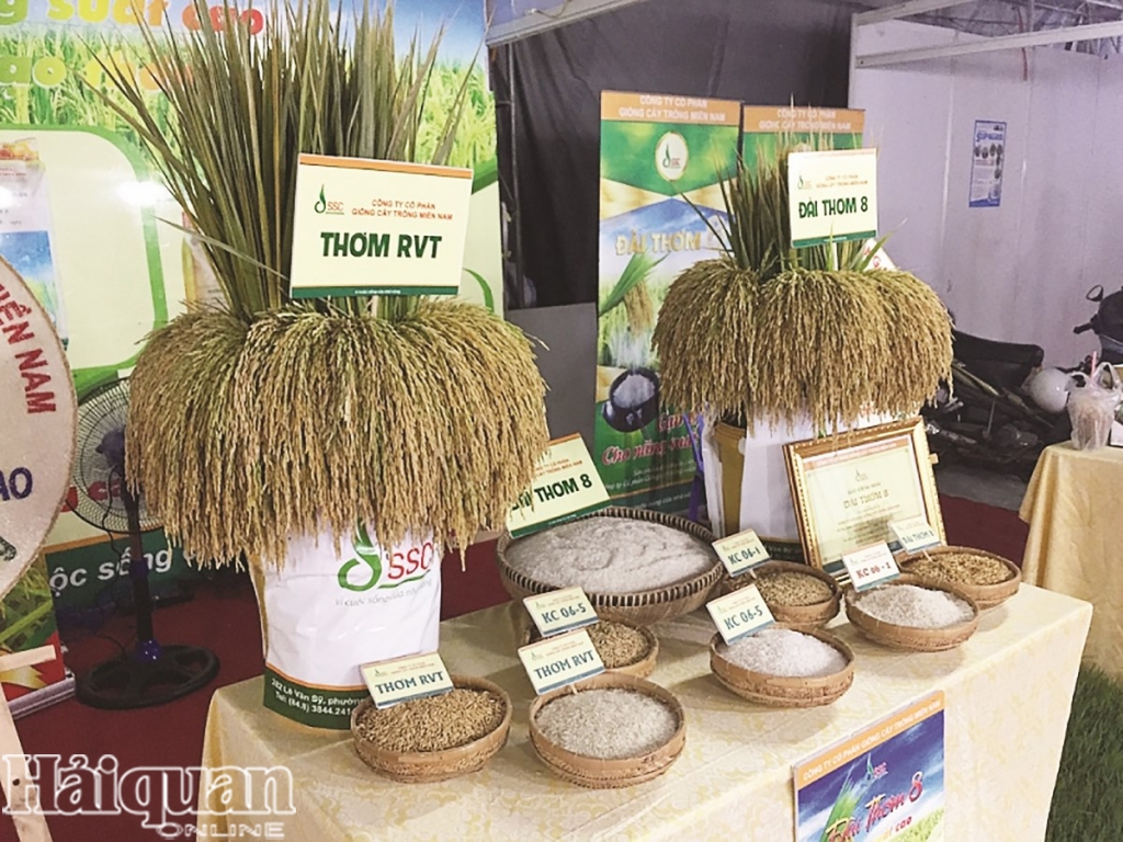 Xuất khẩu gạo sang các thị trường lớn đồng loạt giảm trong 5 tháng đầu năm nay. Ảnh: N.H.