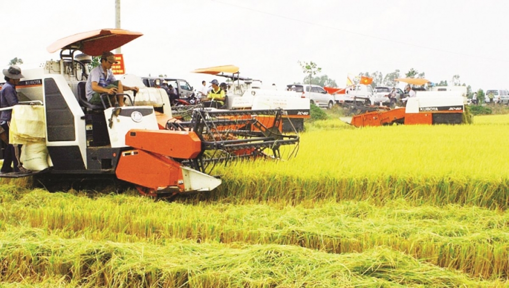 Gạo đang là mặt hàng mặt hàng XK chủ lực của Việt Nam. Ảnh: ST.