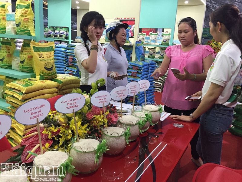 Xuất khẩu gạo giảm trong những tháng đầu năm tạo áp lực lớn cho tiêu thụ lúa gạo vụ hè thu trong thời gian tới.