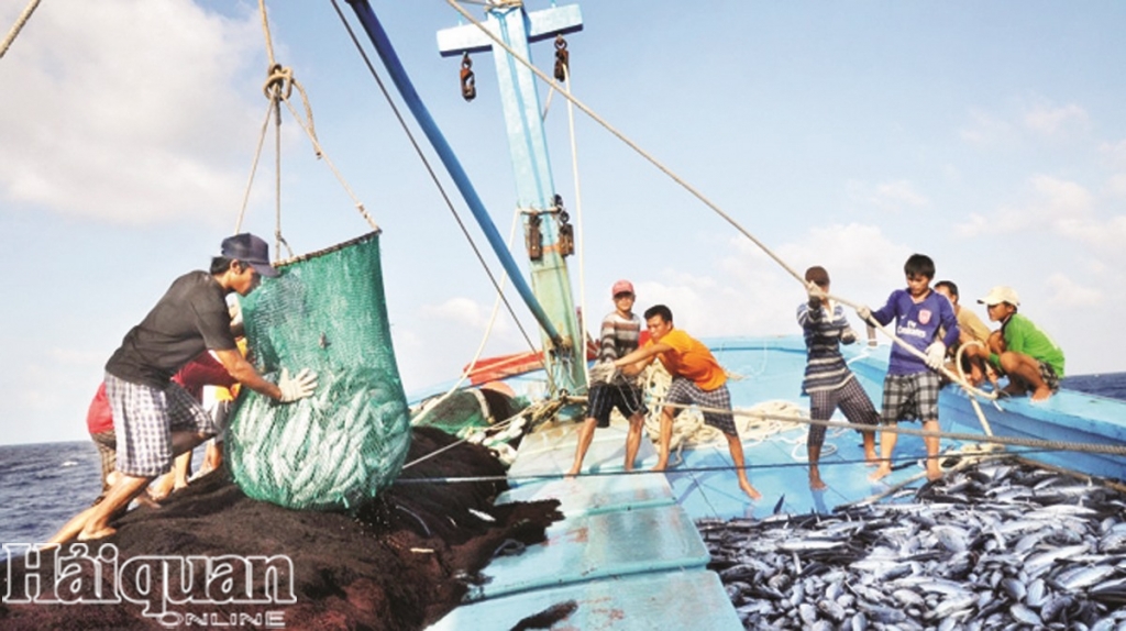 Mục tiêu gỡ bỏ "thẻ vàng" với hải sản XK thời gian tới không hề dễ dàng.