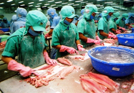 Nhiều thay đổi về mã HS nhóm hàng thủy sản 