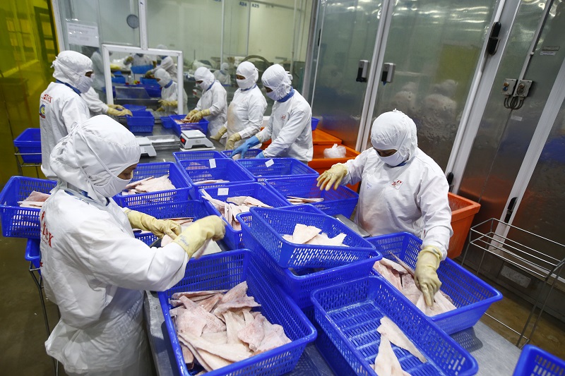 Chuỗi cung ứng thủy sản cũng đã bắt đầu được khôi phục và lời cảm ơn của doanh nghiệp