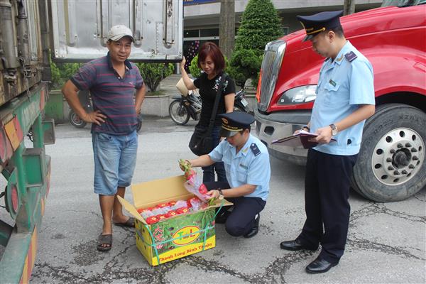 Không có chuyện thanh long xuất sang Trung Quốc ùn ứ ở biên giới