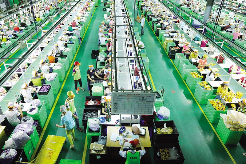 Doanh nghiệp thành lập mới tăng vọt trong tháng 11. Hoạt động sản xuất - kinh doanh đã bắt đầu phục hồi.