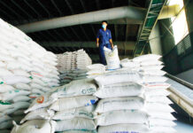 Xuất khẩu gạo của Việt Nam cán đích thành công