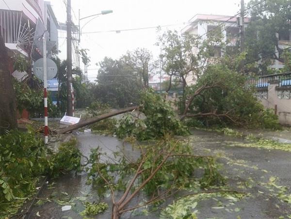 Thông tin mới nhất về các đơn vị Hải quan miền Trung bị ảnh hưởng bão số 12