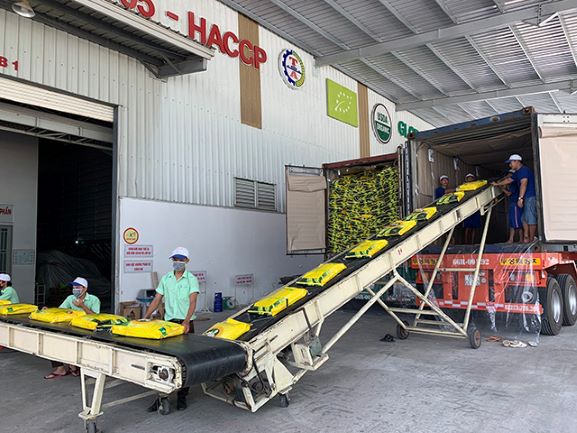 Mặt hàng gạo Việt lợi thế cạnh tranh tại thị trường Ba Lan nhờ chất lượng và ưu đãi từ EVFTA.