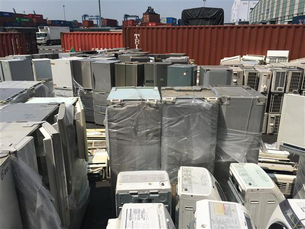 Chống gian lận thương mại trong nhập khẩu mặt hàng giáng hương Tây phi