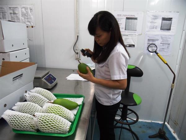 Trước 15/11 sẽ hoàn thiện danh mục hàng XNK kèm mã HS lĩnh vực nông nghiệp 