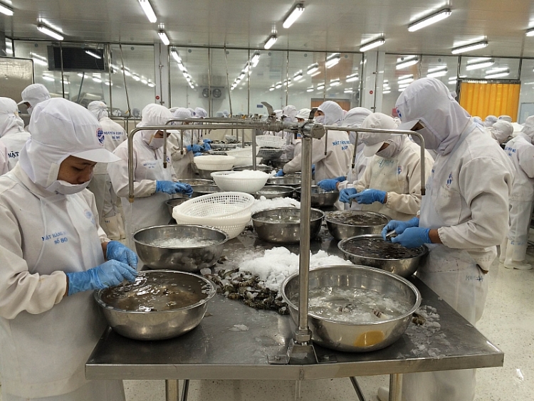 Tôm là một trong những mặt hàng thường xuyên bị yêu cầu kiểm tra về xuất xứ hàng hóa