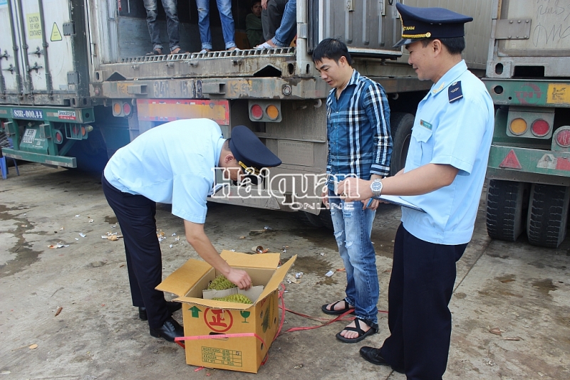  Hải quan Lạng Sơn tạo điều kiện cho hàng nông sản XK. Ảnh: H.Nụ