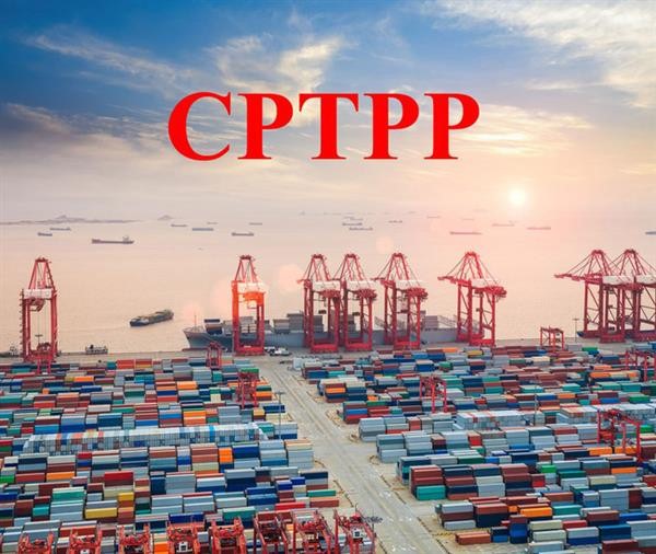 Việt Nam xuất khẩu nông sản đước hường thuế suất 0% khi Hiệp định CPTPP có hiệu lực.