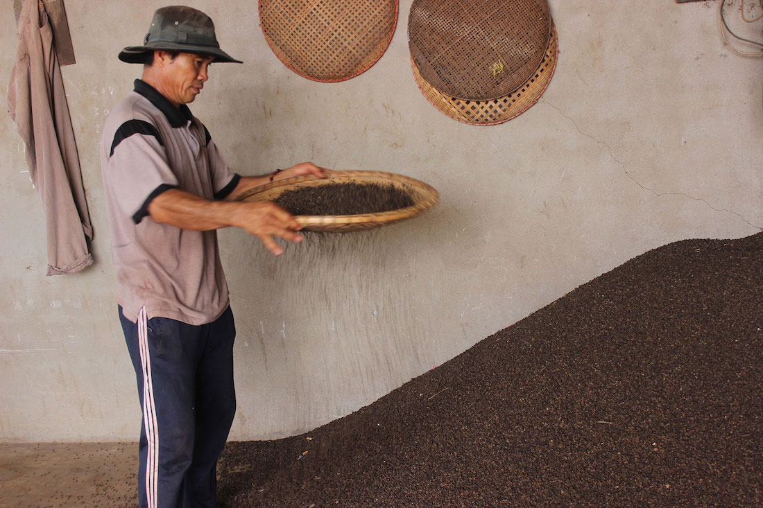 Người dân làm sạch hồ tiêu đen sau khi phơi khô (Ảnh minh hoạ: Hương Giang).