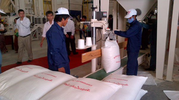 Kim ngạch xuất khẩu gạo sang Trung Quốc giảm trong nửa đầu năm 2019.