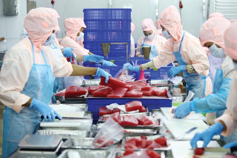 Dù chịu ảnh hưởng từ Covid-19, ngành thủy sản tìm cơ hội nhưng các doanh nghiệp quyết không để đình trệ sản xuất, kinh doanh. Ảnh: Đức Thanh