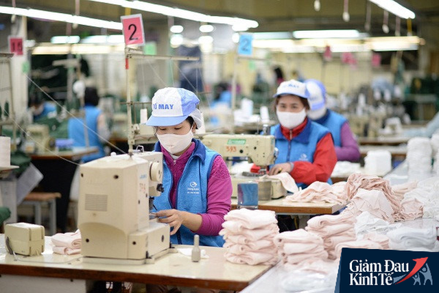 Tập đoàn dệt may gặp nhiều khó khăn về sản xuất, kinh doanh do dịch Covid-19.