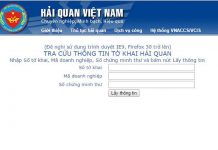 Triển khai dịch vụ tra cứu thông tin tờ khai hải quan