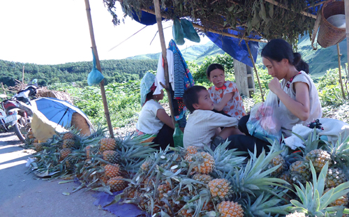 Nền Nông nghiệp của Điện Biên