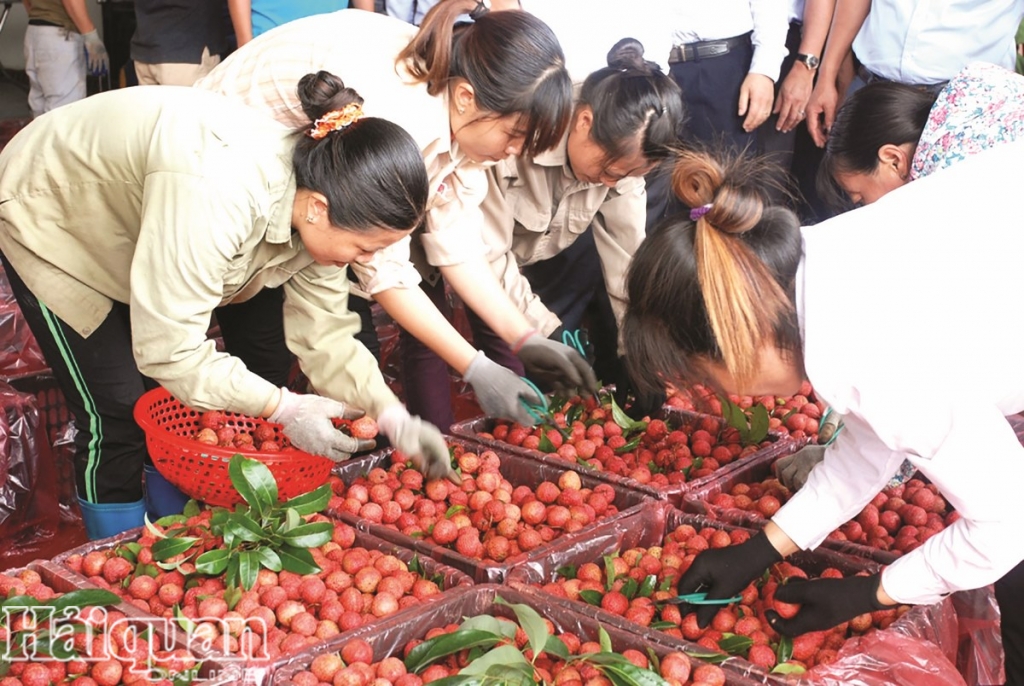 Việt Nam còn nhiều loại rau quả khác để xuất khẩu