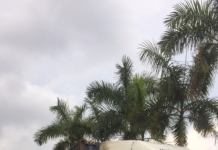 Vận chuyển hàng thực phẩm đi các tỉnh miền Bắc