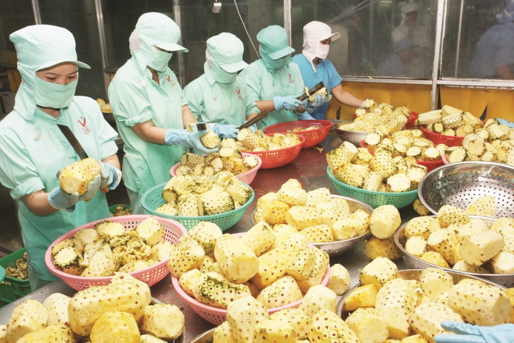 7 tháng đầu năm xuất khẩu sẽ đạt hơn 260 tỷ USD, có tới 33/45 mặt hàng có kim ngạch XK tăng so với cùng kỳ năm 2018 